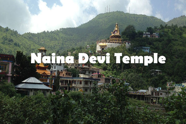 Tour Operator in Jammu