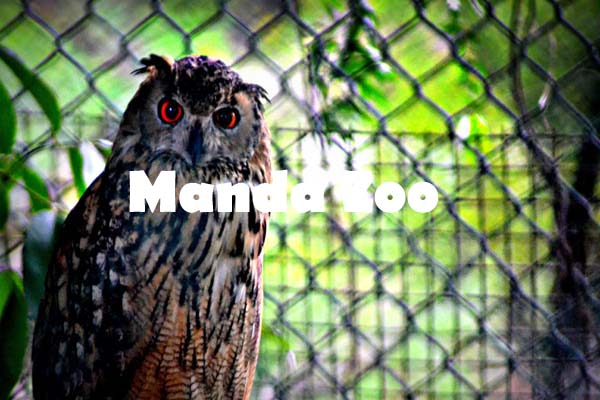 Travel Company in Jammu