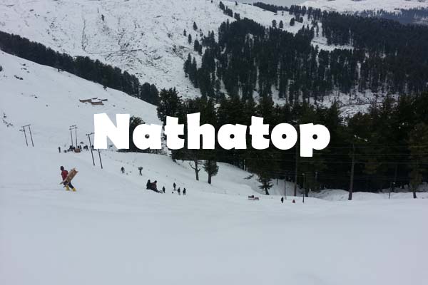 Travel Service in Jammu