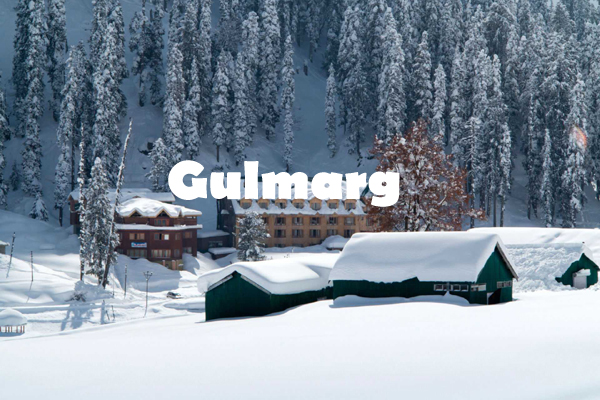 Best Tour Operator in Jammu