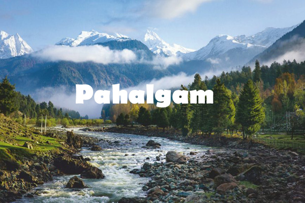 Best Travel Service in Jammu