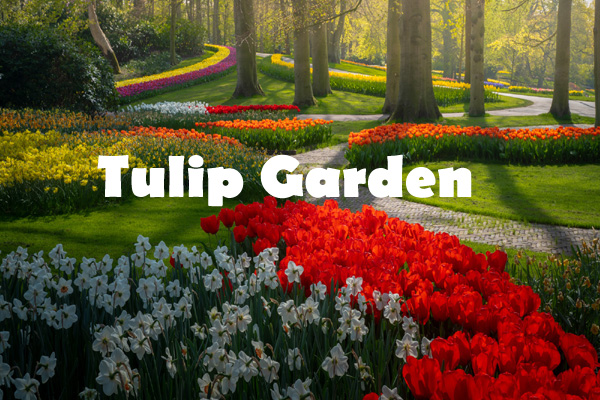 Best Travel Company in Jammu