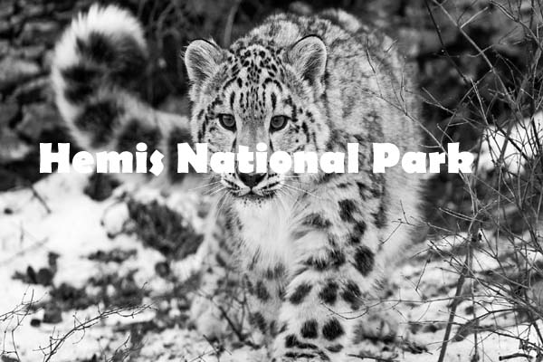 Travel Company in Jammu