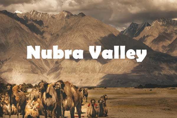  Best Tour Packages in Jammu