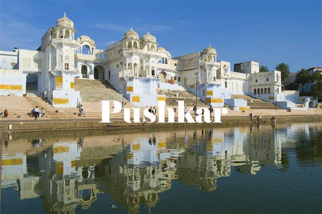 Best Tour Operator in Jammu