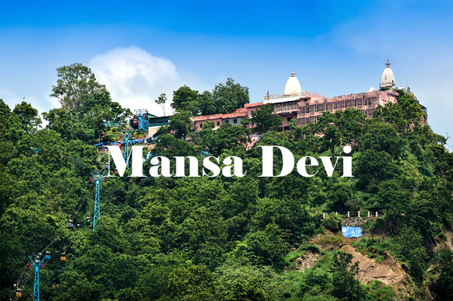 Best Travel Agents in Jammu